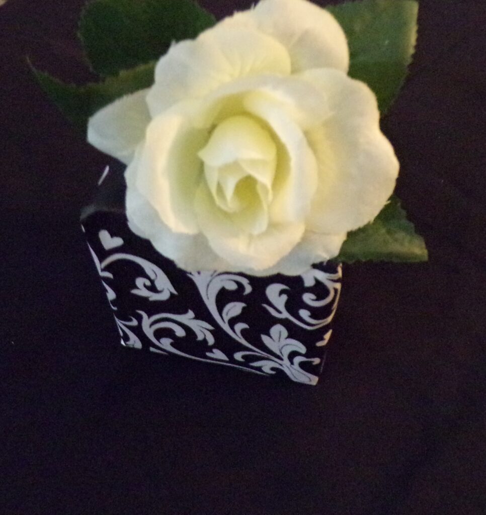 kodak digital still camera