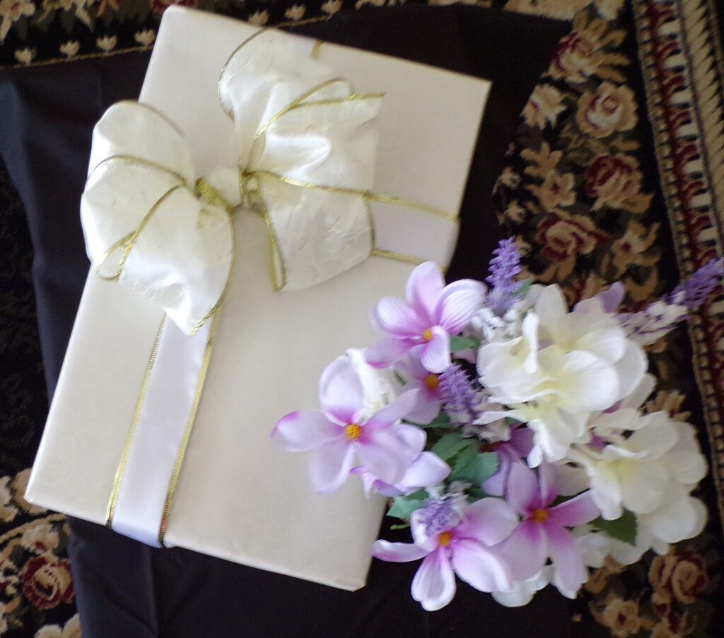 kodak digital still camera