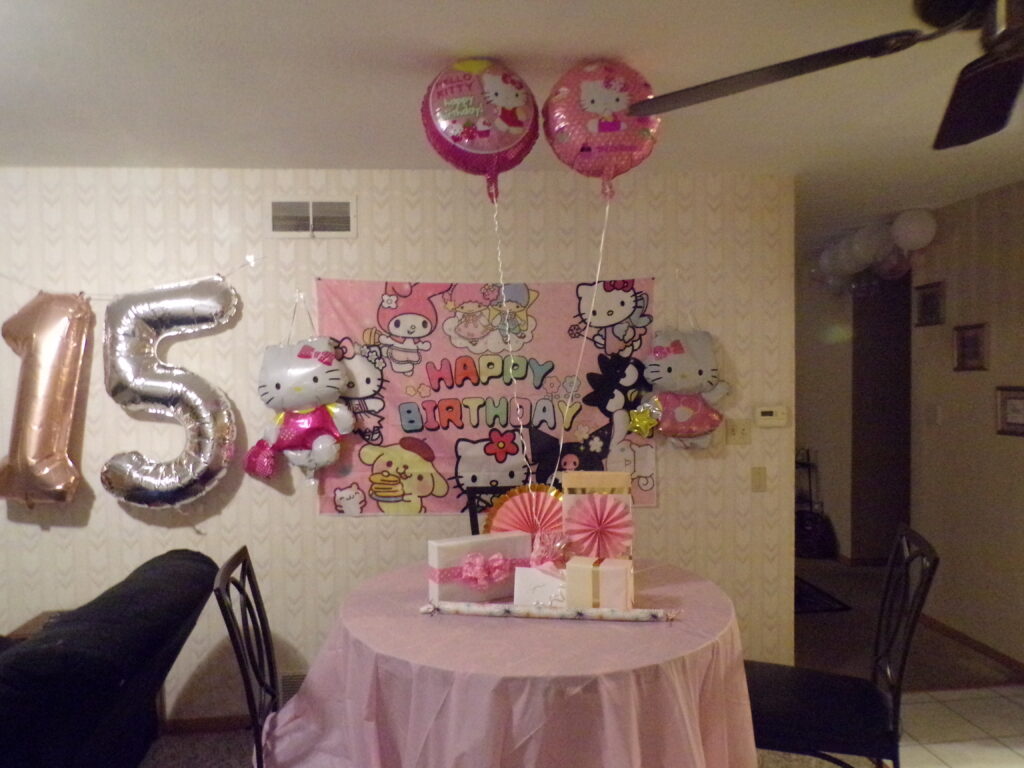 kodak digital still camera