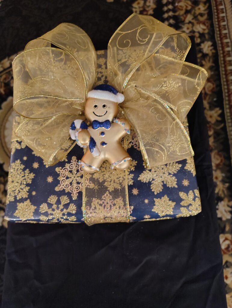 blue & gold gingerbread package